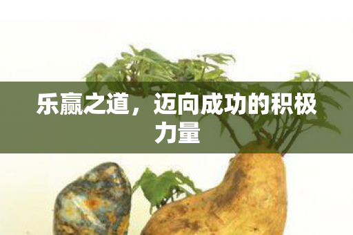 乐赢之道，迈向成功的积极力量