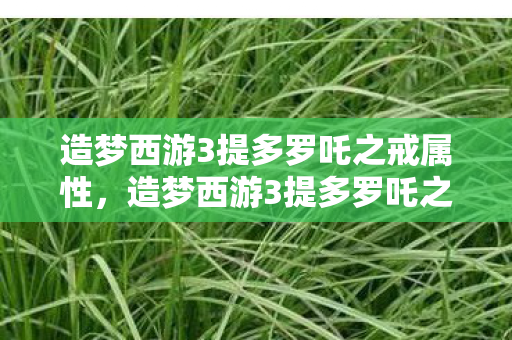 造梦西游3提多罗吒之戒属性，造梦西游3提多罗吒之戒，神秘力量的起源与传说