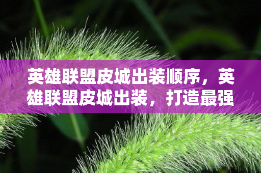 英雄联盟皮城出装顺序，英雄联盟皮城出装，打造最强ADC的装备指南