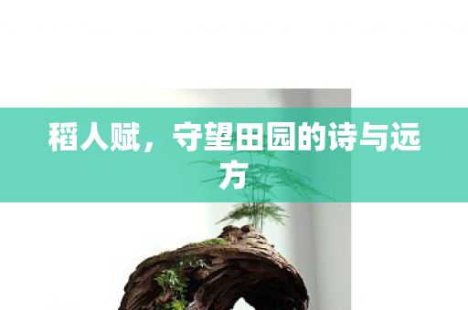 稻人赋，守望田园的诗与远方