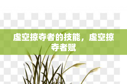 虚空掠夺者的技能,虚空掠夺者赋 虚空掠夺者的技能,虚空掠夺者赋