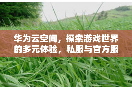华为云空间,探索游戏世界的多元体验,私服与官方服务器的独特魅力 华为云空间,探索游戏世界的多元体验,私服与官方服务器的独特魅力