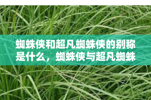 蜘蛛侠和超凡蜘蛛侠的别称是什么,蜘蛛侠与超凡蜘蛛侠,英雄背后的不同故事 蜘蛛侠和超凡蜘蛛侠的别称是什么,蜘蛛侠与超凡蜘蛛侠,英雄背后的不同故事