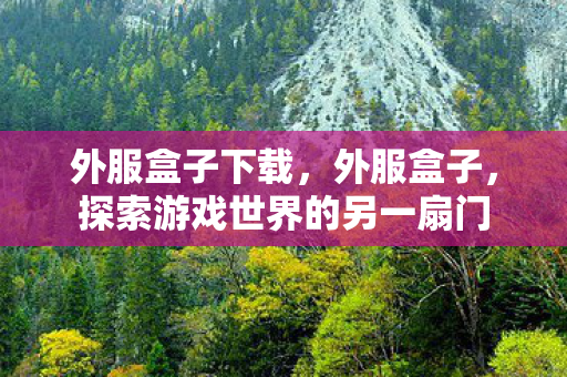 外服盒子下载，外服盒子，探索游戏世界的另一扇门