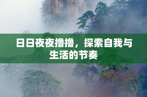 日日夜夜撸撸，探索自我与生活的节奏