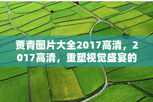 贾青图片大全2017高清，2017高清，重塑视觉盛宴的影视革命