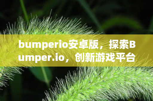 bumperio安卓版，探索Bumper.io，创新游戏平台与用户体验的完美结合