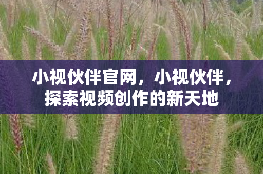 小视伙伴官网，小视伙伴，探索视频创作的新天地