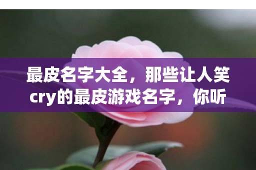 最皮名字大全，那些让人笑cry的最皮游戏名字，你听过几个？