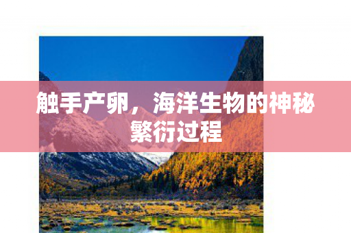 触手产卵，海洋生物的神秘繁衍过程