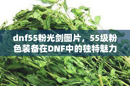 dnf55粉光剑图片，55级粉色装备在DNF中的独特魅力与影响