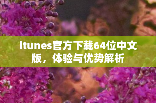 itunes官方下载64位中文版，体验与优势解析