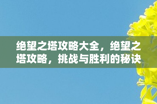 绝望之塔攻略大全，绝望之塔攻略，挑战与胜利的秘诀