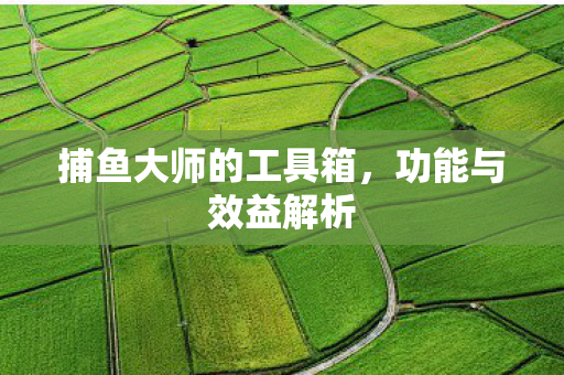 捕鱼大师的工具箱，功能与效益解析