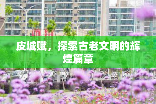 皮城赋，探索古老文明的辉煌篇章