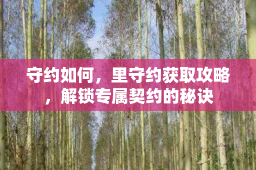 守约如何,里守约获取攻略,解锁专属契约的秘诀 守约如何,里守约获取攻略,解锁专属契约的秘诀
