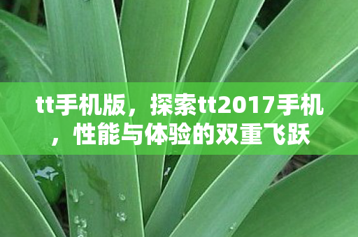 tt手机版，探索tt2017手机，性能与体验的双重飞跃