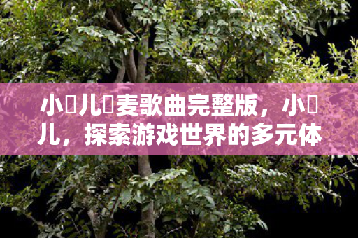 小苮儿騒麦歌曲完整版，小苮儿，探索游戏世界的多元体验