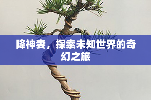 降神妻，探索未知世界的奇幻之旅