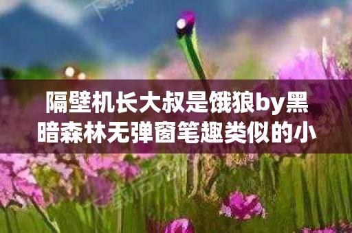 隔壁机长大叔是饿狼by黑暗森林无弹窗笔趣类似的小说，隔壁机长大叔是饿狼