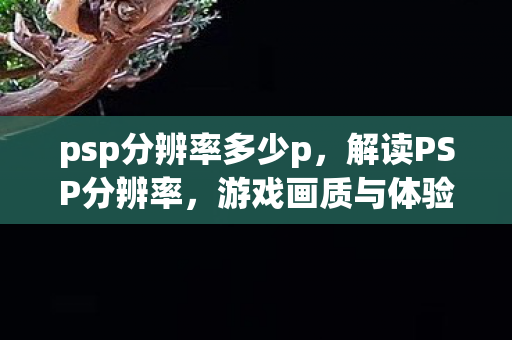 psp分辨率多少p，解读PSP分辨率，游戏画质与体验的关键要素