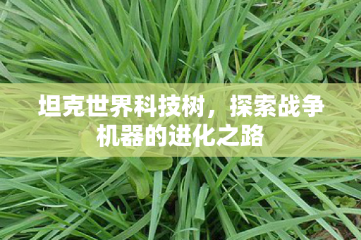 坦克世界科技树，探索战争机器的进化之路