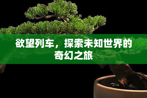 欲望列车，探索未知世界的奇幻之旅