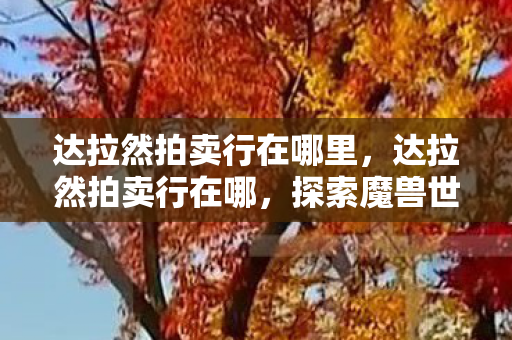 达拉然拍卖行在哪里，达拉然拍卖行在哪，探索魔兽世界的神秘之地
