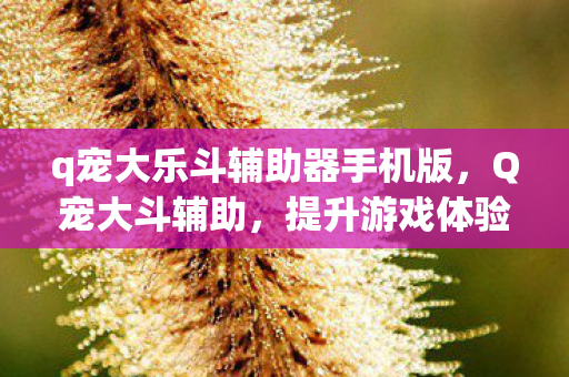 q宠大乐斗辅助器手机版,Q宠大斗辅助,提升游戏体验的得力助手 q宠大乐斗辅助器手机版,Q宠大斗辅助,提升游戏体验的得力助手