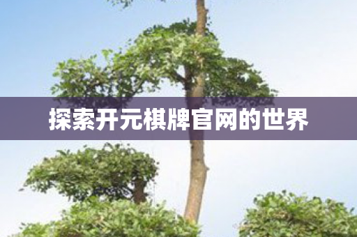 探索开元棋牌官网的世界