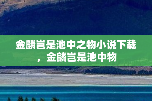 金麟岂是池中之物小说下载，金麟岂是池中物
