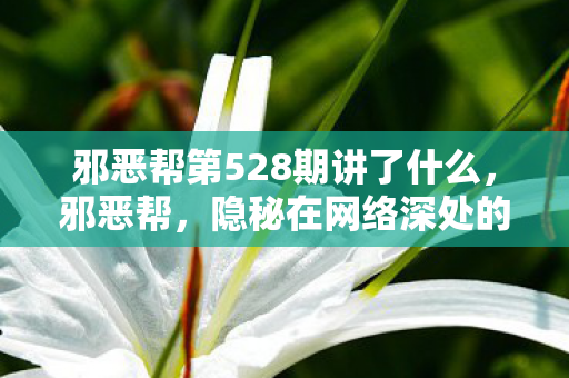 邪恶帮第528期讲了什么，邪恶帮，隐秘在网络深处的灰色阴影