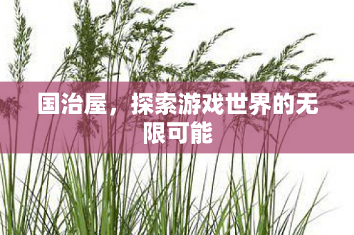 国治屋,探索游戏世界的无限可能 国治屋,探索游戏世界的无限可能