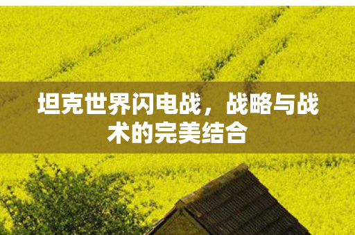 坦克世界闪电战，战略与战术的完美结合
