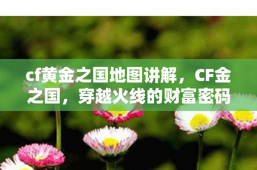 cf黄金之国地图讲解，CF金之国，穿越火线的财富密码与游戏经济解析