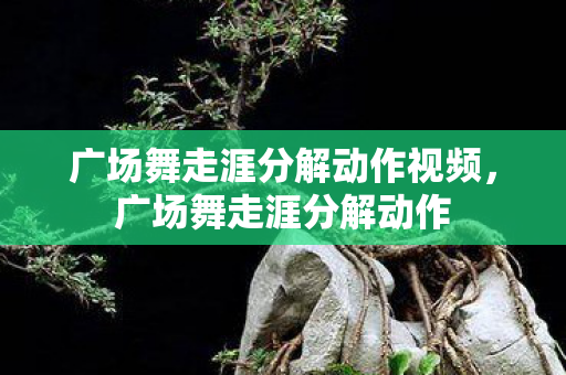 广场舞走涯分解动作视频,广场舞走涯分解动作 广场舞走涯分解动作视频,广场舞走涯分解动作