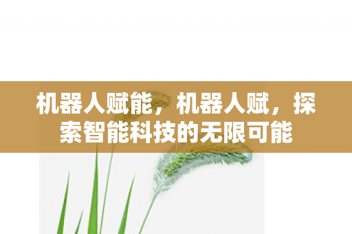 机器人赋能，机器人赋，探索智能科技的无限可能