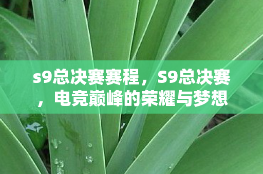 s9总决赛赛程，S9总决赛，电竞巅峰的荣耀与梦想