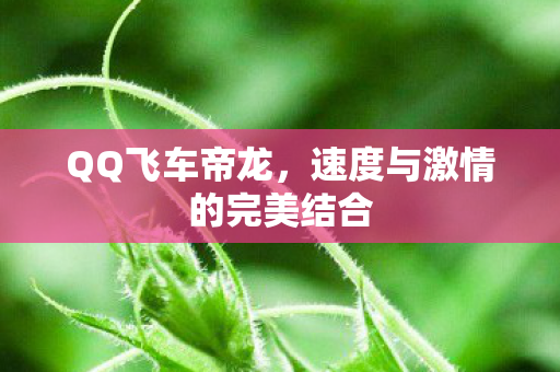 QQ飞车帝龙，速度与激情的完美结合