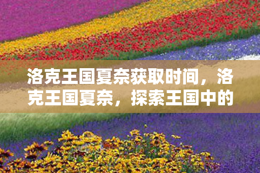 洛克王国夏奈获取时间，洛克王国夏奈，探索王国中的魔法与奇迹