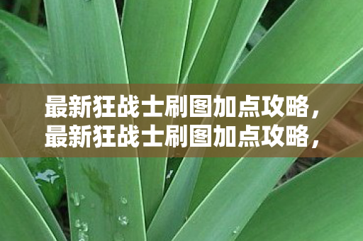 最新狂战士刷图加点攻略，最新狂战士刷图加点攻略，打造高效刷图体验