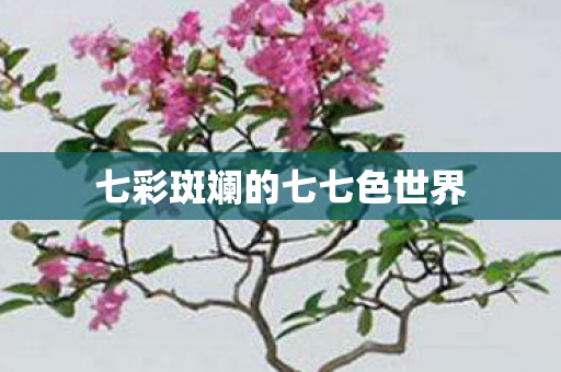 七彩斑斓的七七色世界