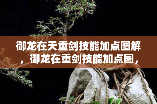 御龙在天重剑技能加点图解，御龙在重剑技能加点图，打造最强战斗力的关键