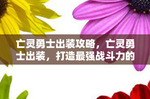 亡灵勇士出装攻略，亡灵勇士出装，打造最强战斗力的关键