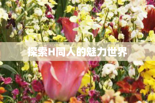 探索H同人的魅力世界 探索H同人的魅力世界