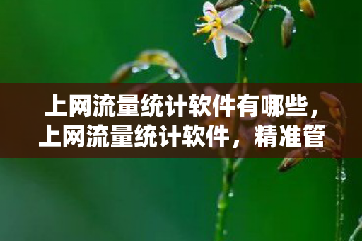 上网流量统计软件有哪些，上网流量统计软件，精准管理网络流量的利器