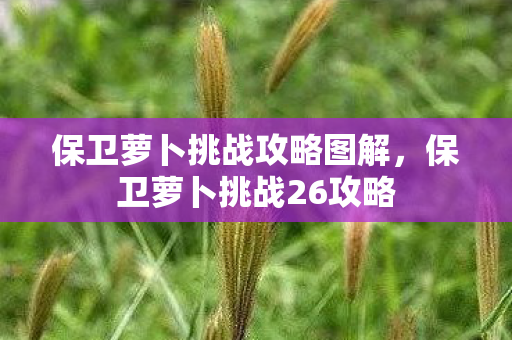 保卫萝卜挑战攻略图解,保卫萝卜挑战26攻略 保卫萝卜挑战攻略图解,保卫萝卜挑战26攻略