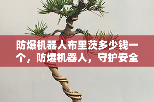 防爆机器人布里茨多少钱一个，防爆机器人，守护安全，预防危险