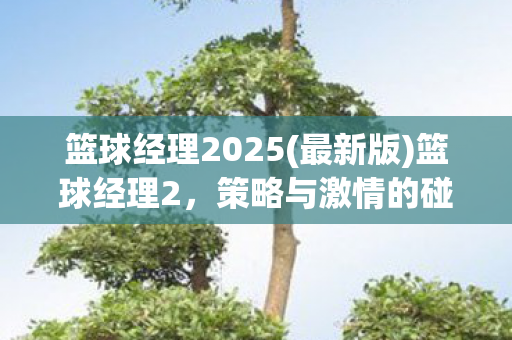 篮球经理2025(最新版)篮球经理2，策略与激情的碰撞