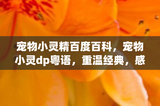 宠物小灵精百度百科,宠物小灵dp粤语,重温经典,感受粤语魅力 宠物小灵精百度百科,宠物小灵dp粤语,重温经典,感受粤语魅力